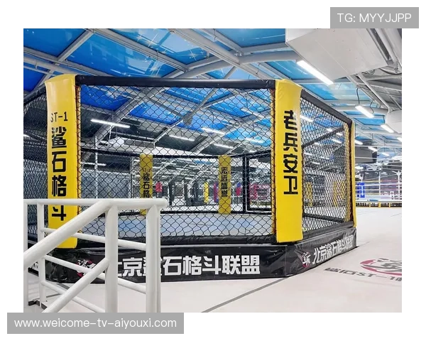 格斗MMA出现技术争议，联盟考虑重新制定规则