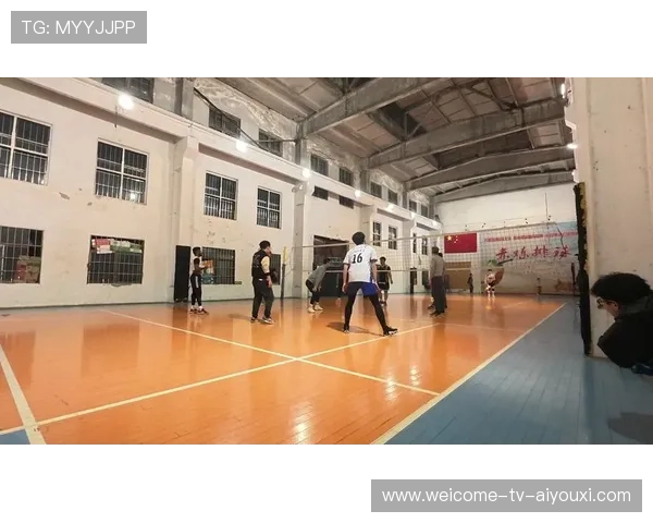 国际排球比赛现场转播多视角技术的观感评估,排球第一视角